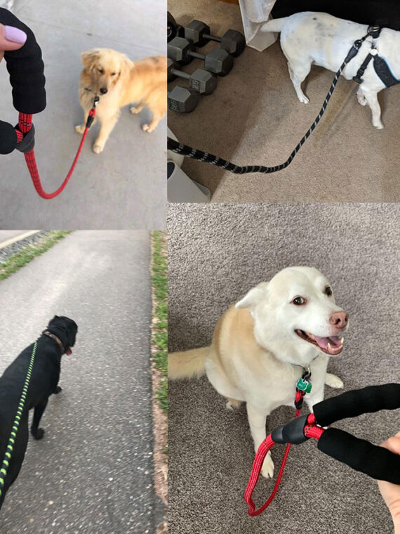 Climbing Rope Dog Leash | Carabiner Dog Lead