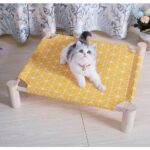 Small Elevated Dog Bed