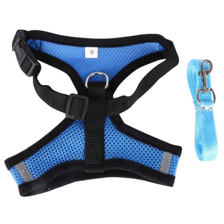 cute dog harness blue