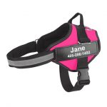 personalized dog harness rose red