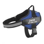personalized dog harness blue