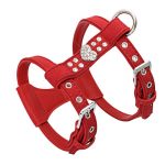 cute dog harness red