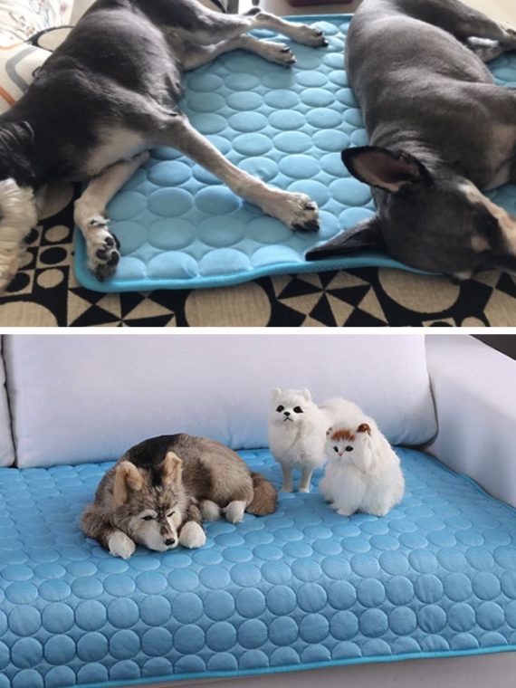 Pet Pad Summer Cooling Mat Dog Beds Mats Blue Pet Ice Pad Cool Cold Silk Moisture-Proof Cooler Mattress Cushion Puppy