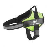 personalized dog harness green