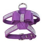 cute dog harness purple