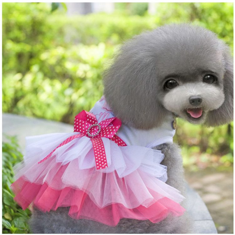 Lovely Princess Dog Dress