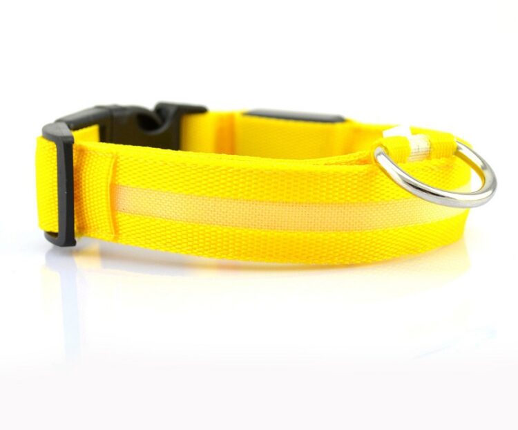 LED Safety Dog Collar