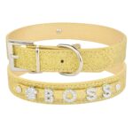 personalized dog collar gold