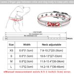 DogMEGA Personalized Dog Collar | Custom Dog Collars | Custom Leather Dog Collars