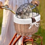 small dog bike basket