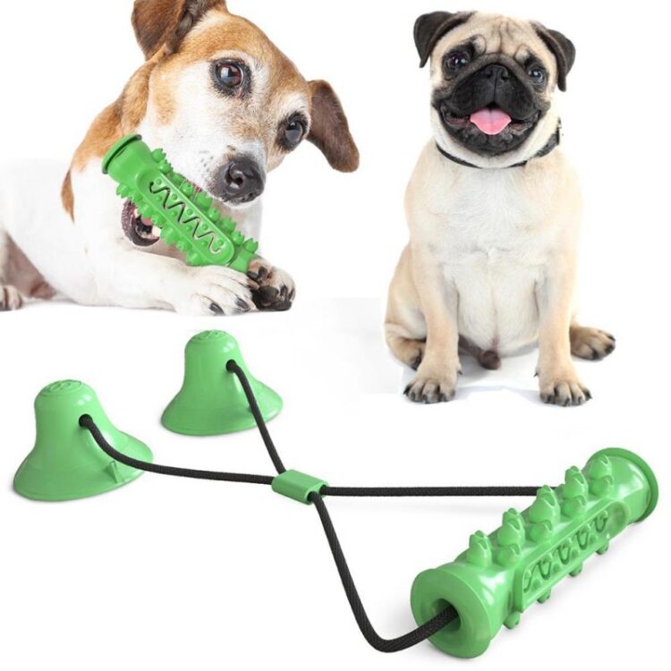 DogMEGA Best Teeth Cleaning Suction
