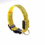 Leopard Led Dog Collar