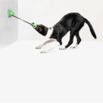 DogMEGA Best Teeth Cleaning Suction