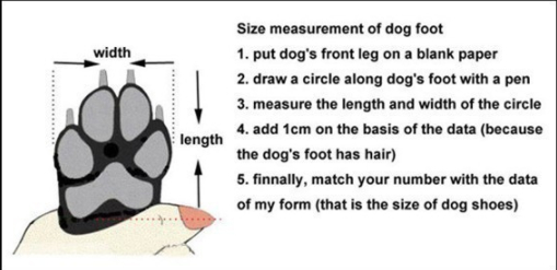 paw size guide