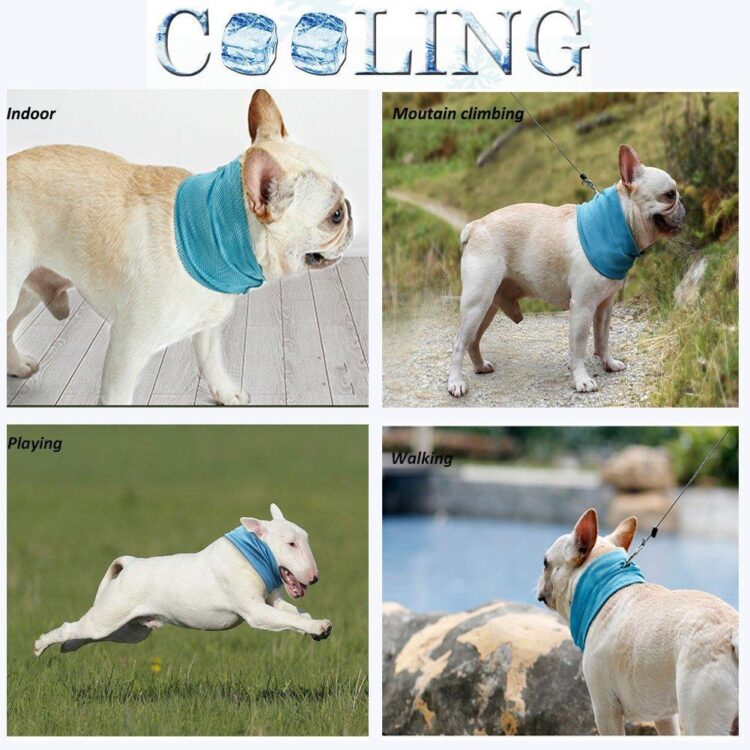 DogMEGA Cooling Dog Bandana
