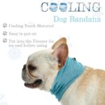 DogMEGA Cooling Dog Bandana
