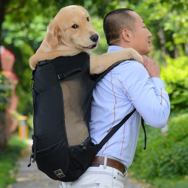 DogMEGA Dog Carrier Backpack 60 lbs | Large Dog Carrier Backpack | Dog Carrier for Hiking