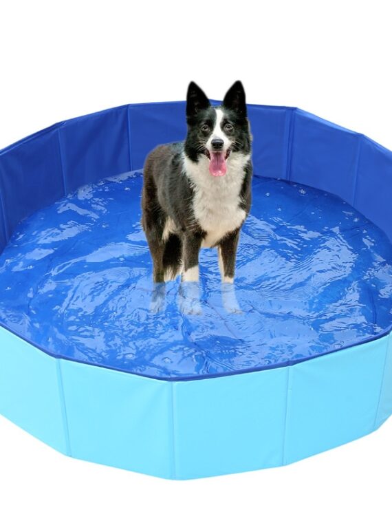 DogMEGA Foldable Dog Swimming Pool
