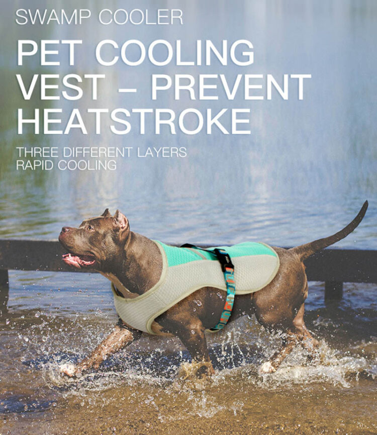 DogMEGA Cooling Dog Vest