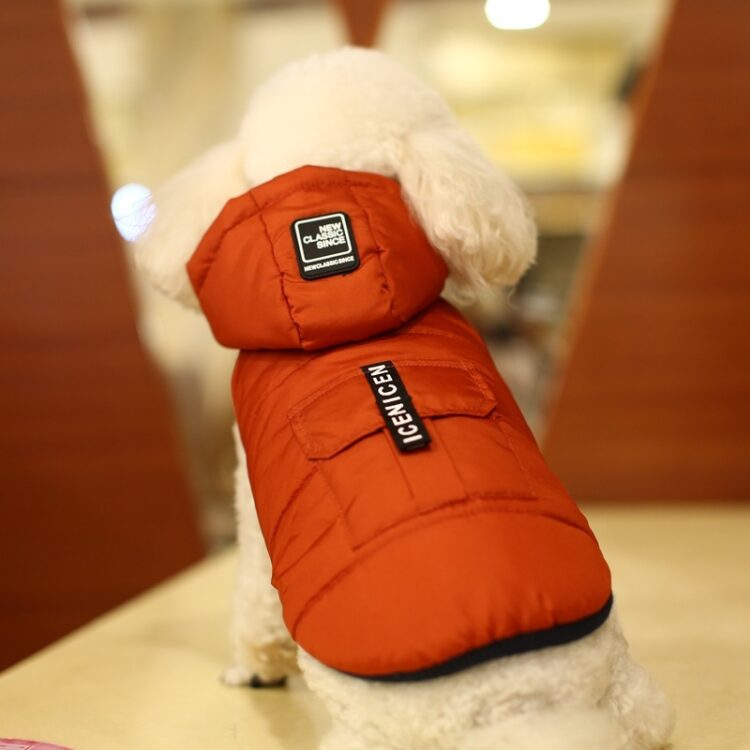 DogMEGA Hoodies Coat | Thickening Hoodies Coat for Small Dog