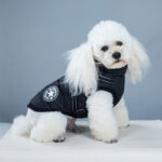 Waterproof Dog Jacket with Harness | Warm Coats for Small Dog