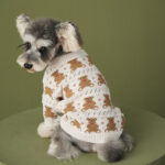 DogMEGA Winter Cardigan Sweater for Small Dog