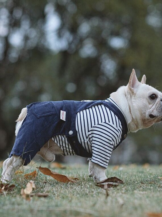Dog Jumpsuits for Small Medium Dog