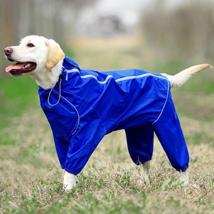 DogMEGA Reflective and Waterproof Raincoat for Dog