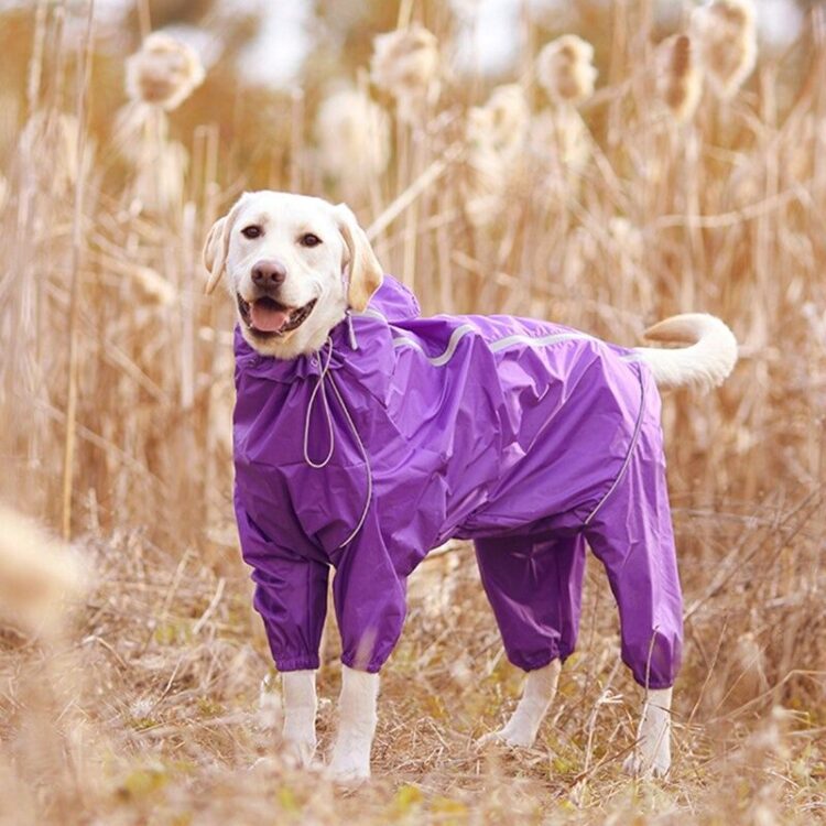 DogMEGA Reflective and Waterproof Raincoat for Dog