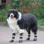 DogMEGA Dog Waterproof Boots | Nonslip Warm Lining Rubber Sole Boots for Winter