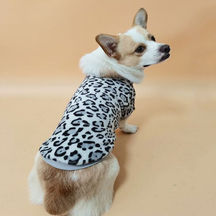 Leopard Print Sweater for Dog