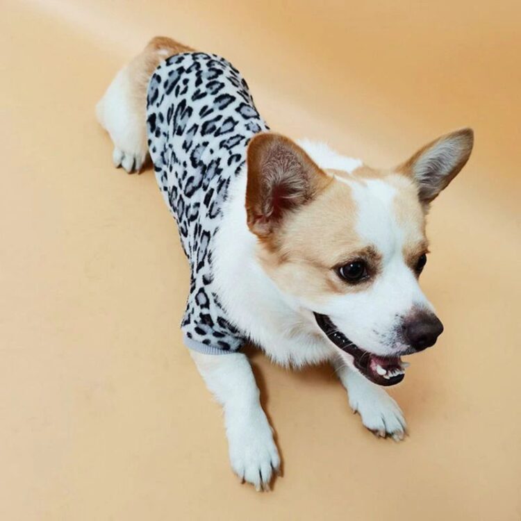 Leopard-Print-Sweater-for-Dog