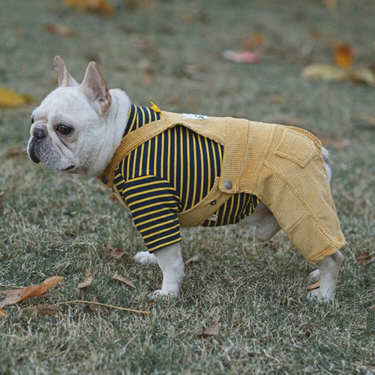 Yellow-Jumpsuit_dog