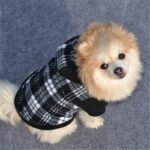 Autumn Hooded Clothing for Dog