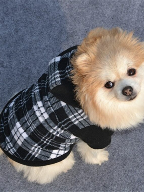 Autumn Hooded Clothing for Dog