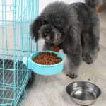 DogMEGA Dog Hanging Stainless Steel Feeding Bowl