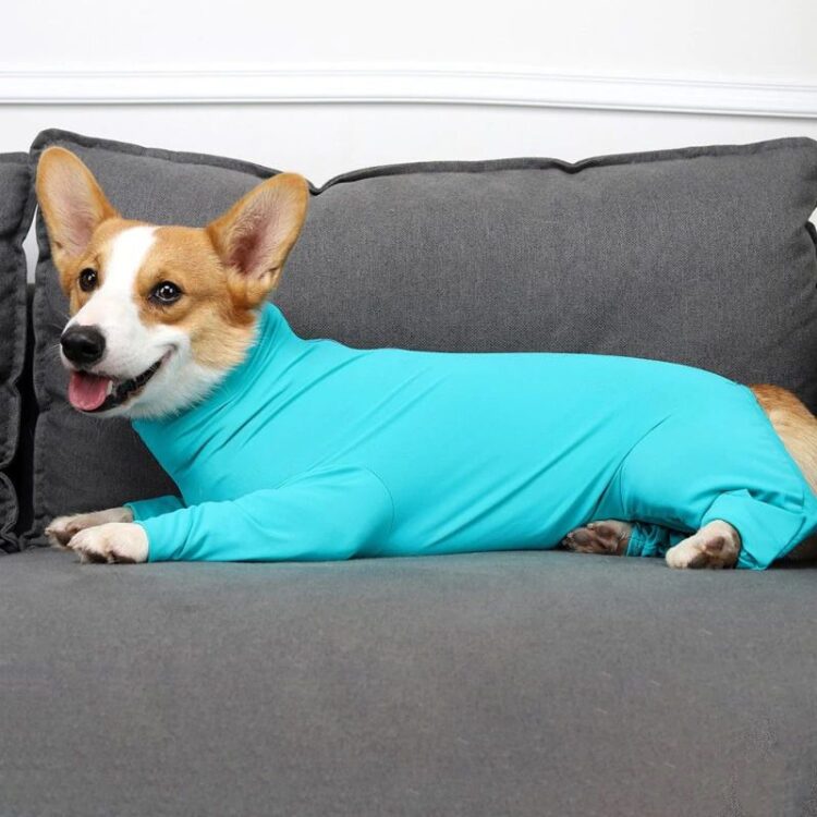 Medium Large Dogs Pajamas Long-sleeve 4-leg Jumpsuit for Dog