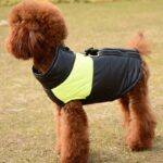 DogMEGA Winter Dog Clothes | Fashion Thicken Warm Cotton Dog Coat | Waterproof Jacket for Puppy