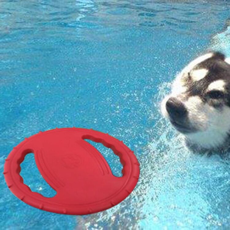 DogMEGA Dog Training Flying Discs | Dog Training Ring Portable Outdoor