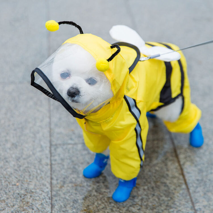 Dog Four-legged Bee Shaped Raincoat | Variety Size Raincoat for Dog with Harness