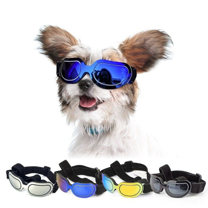 Stylish Sunglasses for Dogs