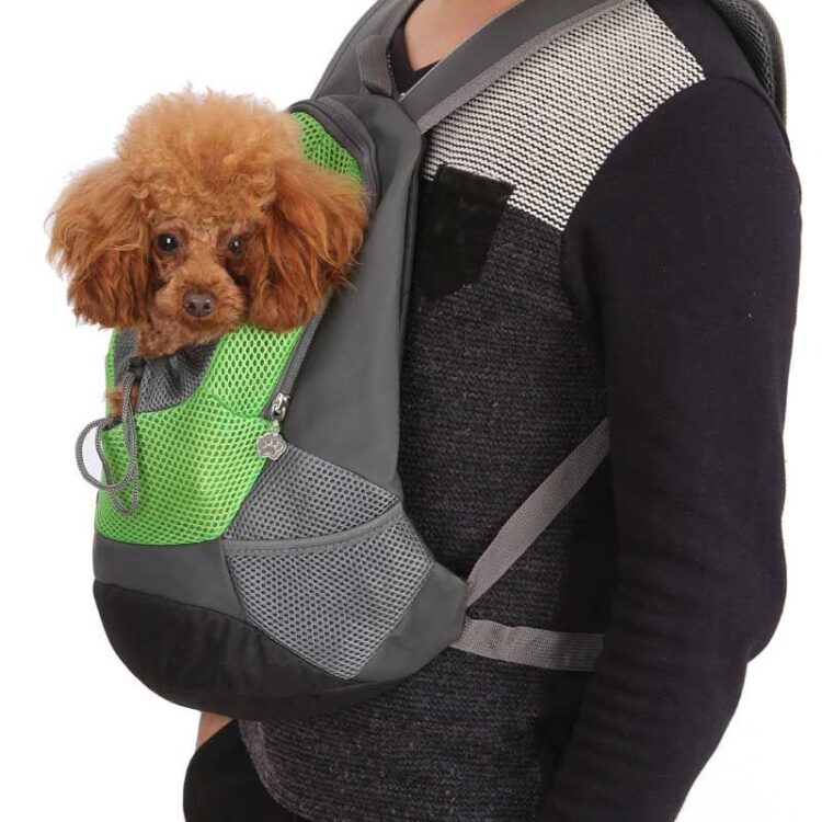 Pet Backpack Carrier - DogMEGA