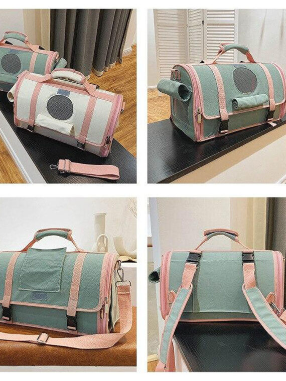 Fashion Pet Handbag Carrier