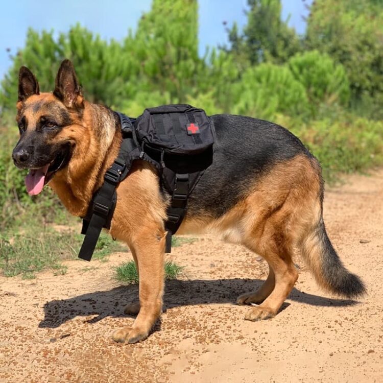 DogMEGA™ Tactical Dog Harness for Medium Large Dogs