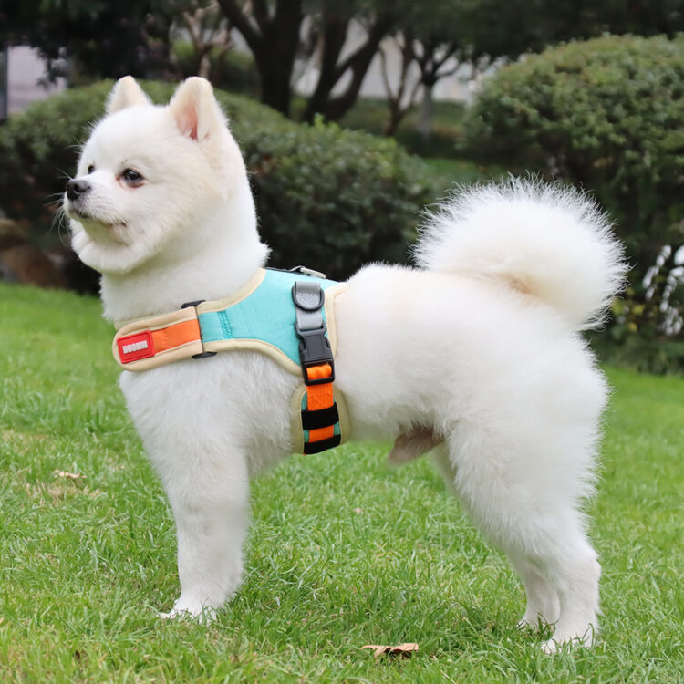 Adjustable Dog Harness Leash Set Easy Walking