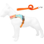 Adjustable Dog Harness Leash Set Easy Walking
