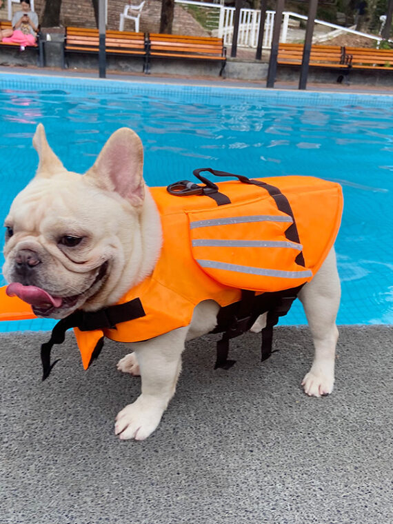 Reflective Dog Life Jacket Dog Swimming Suit French Bulldog