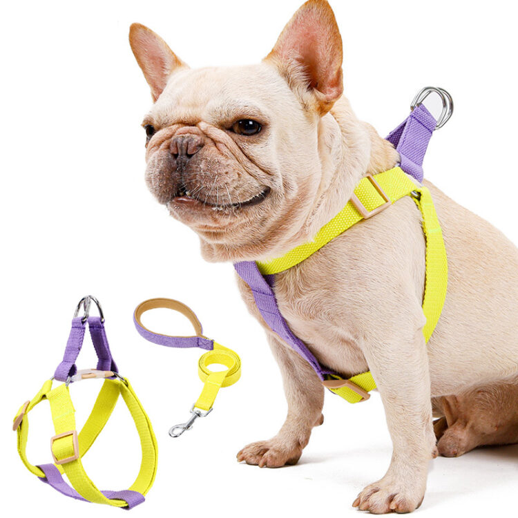 Dog Harness And Leash No Pull Nylon Pet Leashes For Small Dogs