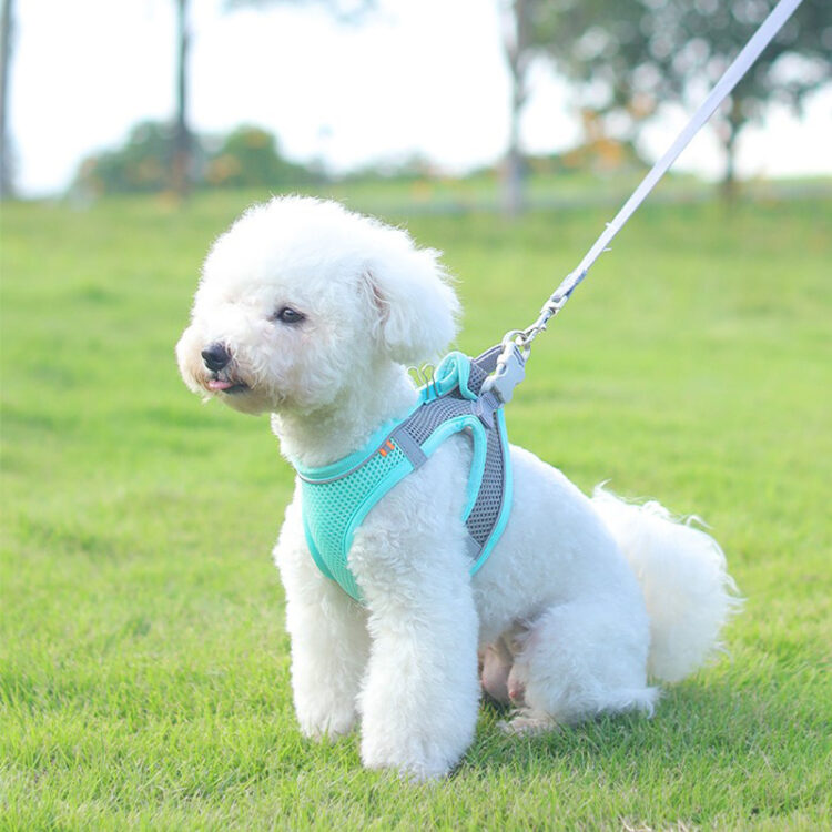 Dog Breathable Harness Adjustable with Leash