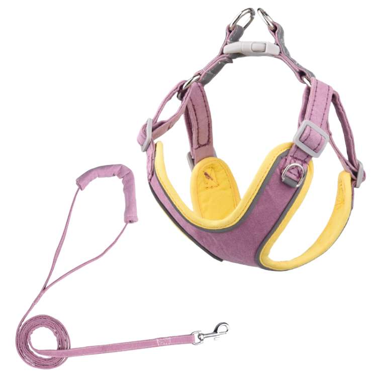 Adjustable Dog Harness with Leash – No Pull